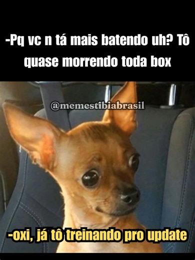 #tibia #tibiabr #memes