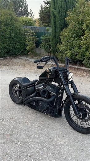 Stage 2 streetbob - Bassani sweepers and Arlen ness filter