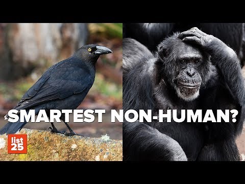 25 Things Science Got Totally WRONG