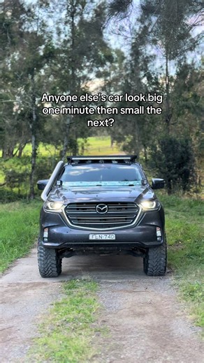 Understanding Car Size Perception and Mechanics