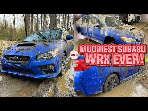 Deep Cleaning The Muddiest Subaru WRX EVER! | Insane Satisfying DISASTER Detail Transformation!