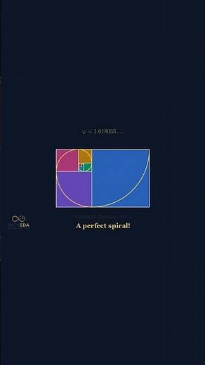 The Golden Ratio φ — Why 1.618 is Everywhere