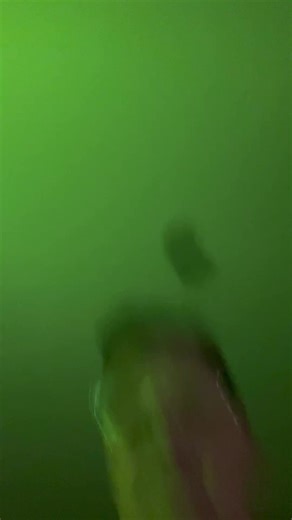 Debra Defrens (@debra.defrens)’s videos with original sound - Debra Defrens