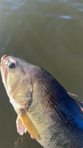 Powerful 💪 | Brandon Card