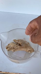 El secreto del kion. #remedios #naturalremedies #agricultura | Agrichac