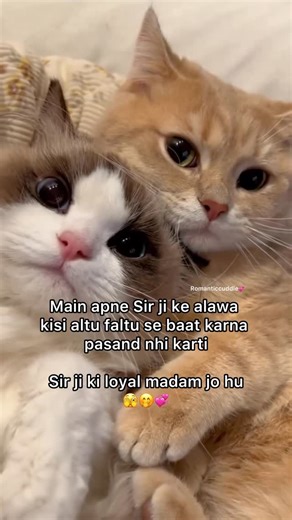 Romantic cuddle | I’m loyal 🙈🫣💋 | Instagram