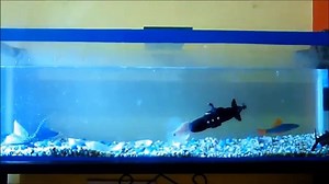 How to make a toy submarine