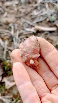 Today’s field find. What kind of flint do you think this is?