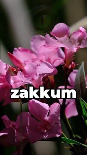 Yılda Binlerce Can Alıyor! 🌿 Dünyanın En Zehirli 5 Bitkisi 😱 #vahşidoğa #doğaşoku #zehirlibitkiler