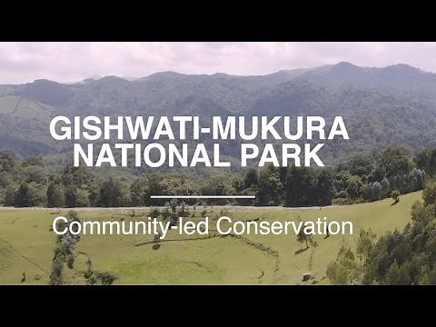 Kwita Izina 2021: Gishwati-Mukura National Park - A story of community-led conservation