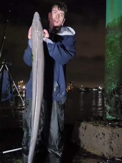 Strong Old Fish: Conger Eel Fishing Techniques