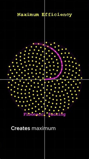 Nature's Hidden Math Trick 🌻 (Fibonacci Spirals) #maths #science #physics #education #biology