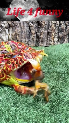 best funny animal videos 2023 funniest