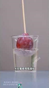 亲自动手做实验：像专家一样教孩子科学