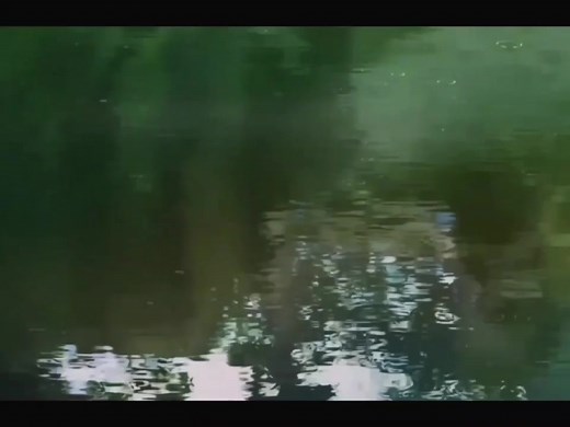 Visard - The Garden of Words Anime Edit