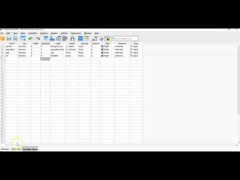 SPSS - Missing Values (Beginners)
