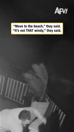 "Move to the beach," they said. "It's not THAT windy," they said.