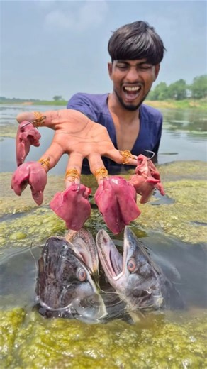Amazing finger hook trap fishing withchicken liver #fish_video #fishing #video