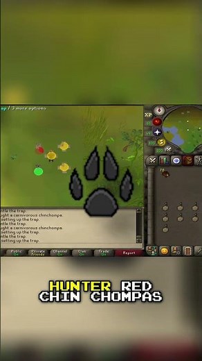 Red Chin Chompas: The Ultimate Hunter Profit Guide!