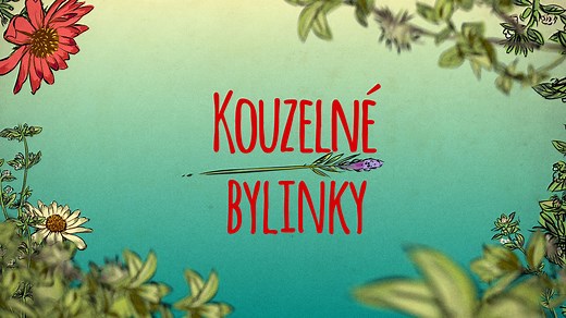 Jablečný ocet — Recepty — Kouzelné bylinky — Česká televize