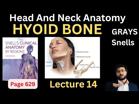 Hyoid Bone | Head and Neck Anatomy | #headandneckanatomy