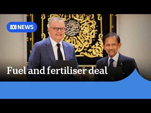 Anthony Albanese meets with Sultan of Brunei to shore up fertiliser and fuel supplies | ABC NEWS
