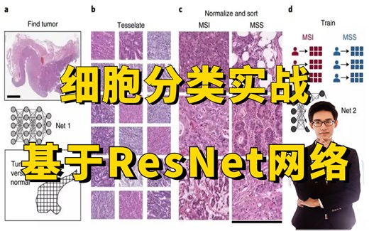 【附数据集】基于ResNet网络的细胞分类实战教程！迪哥带你从零详解ResNet网络！（深度学习/计算机视觉/目标检测）