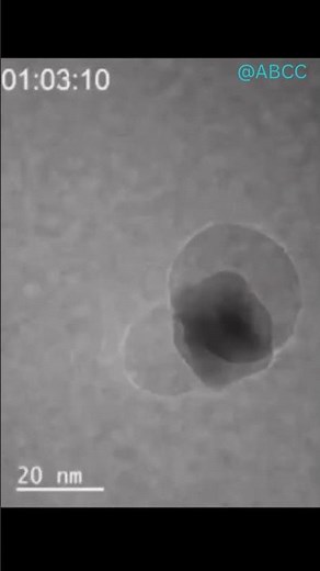 The Moment Water Forms: First Direct Evidence from H₂ and O₂ @ABCC