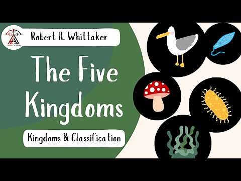 Five Kingdoms System: A Detailed Overview | Animated Biology Class
