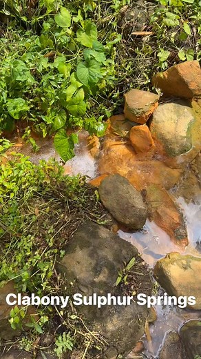 Sulphur Pond | Kenny McQueen