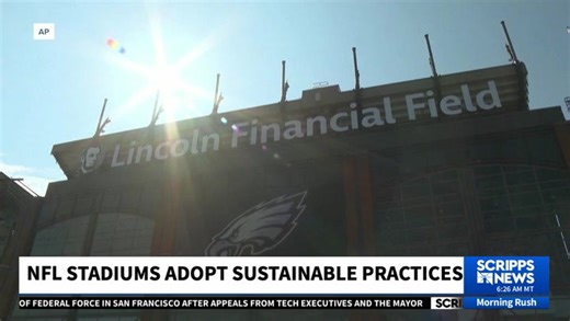 NFL Teams Tackle Sustainability: Green Efforts Beyond the Game