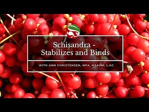 Schisandra - Stabilizes and Binds...