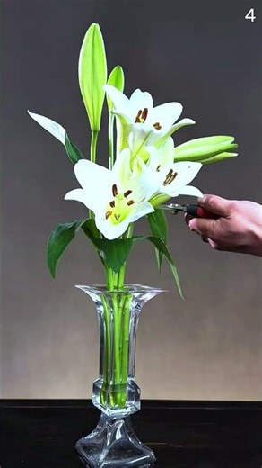 Ide cerdas petani merawat bunga hias dengan alat sederhana #shorts