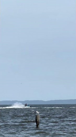 No Traffic Light Required | Jet Ski| Colonial Beach, Virginia