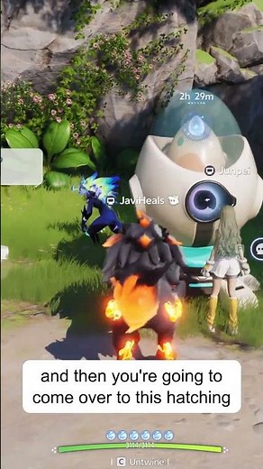 How to Hatch Eggs In Aniimo