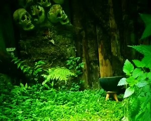 #TheJungleFrightNight Woodland Trail 2019 Who will live & who will die??? 😵⚰⚰ One of this islands most ancient and evils beasts has been unleashed 👹 Fright Night Tickets On Sale Now: https://www.thejungleni.com/event/fright-night/ | Fright Night