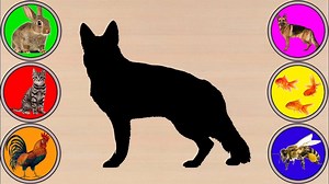 211K views · 2.5K reactions | What is this Domestic Animal- ❤️ Fish, Turtle, Chicken, Cat, Dog, Bee ❤️ Kid learn Animal | MeowMeow Cartoons TV | Facebook