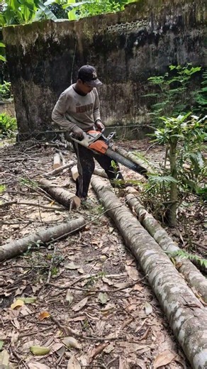 Cutting wood with modern agricultural tools-Agriculture farming #shorts