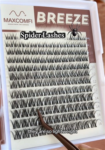 Maximize Your Look with Spider Lashes