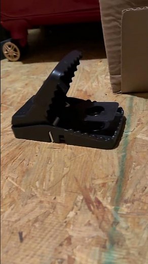 VASAMOMO Large Rat Trap, Effective Traps on my mouse