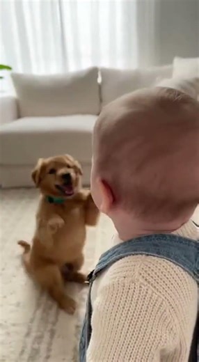 “Doggy Run Fast Fast!” 🏃‍♂️😂 Baby Is Losing It#doggyrun #cutebabyshorts