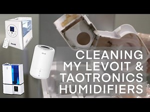 How To Clean Your Levoit/Taotronics Humidifier Using Bleach