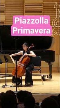 Lavie Cello | Piazzolla - Primavera (Spring🌼) #shorts #piazzolla #primavera #spring #pianotrio