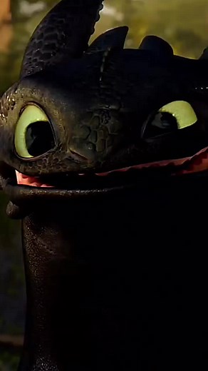 Toothless in How to Train Your Dragon 1 vs. How to Train Your Dragon 3 Comparison