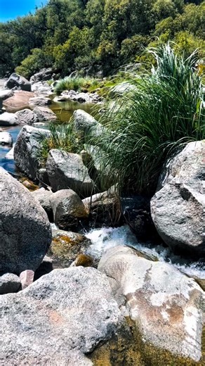Verano, montaña y río. La perfecta combinación. Veni a conocernos 🫶🏻 #larioja #turismo #visitargentina | Quebrada del Cóndor