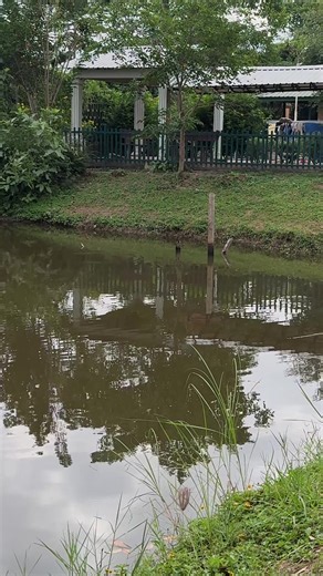 #LAVALLASCHOOL🎓 #cambodia #freshair @Angel Len