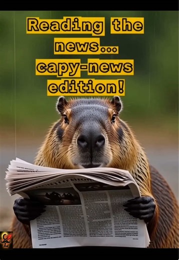 Dad jokes so bad even capybaras had to deliver them on a flip phone 📱😂 Which one made you groan the hardest? Drop your fave bad pun below! 👇 By CharlesLee & SuperGrok #40notFinished @capybaraok @tiktok @xAI #DadJokes #Capybara #BadPuns #FlipPhoneVibes