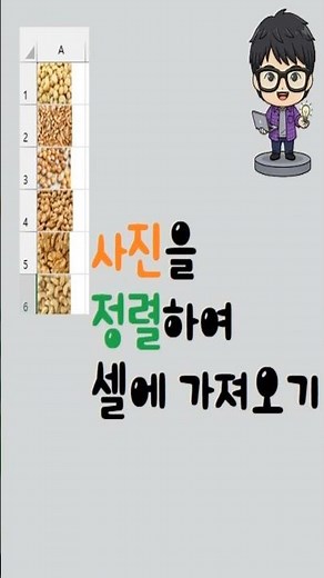 폴더내 모든사진(이미지 셀 에 넣기) 및 파일 전체경로 가져오기; ≥2024, 가져올 정렬순서 지정, 경로로 복사, 빠른채우기, 사진파일을 특별한 데이터(셀값)로 변환