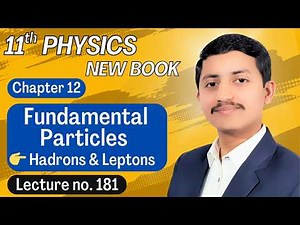 Fundamental Particles Class 11 Physics | Hadrons and Leptons