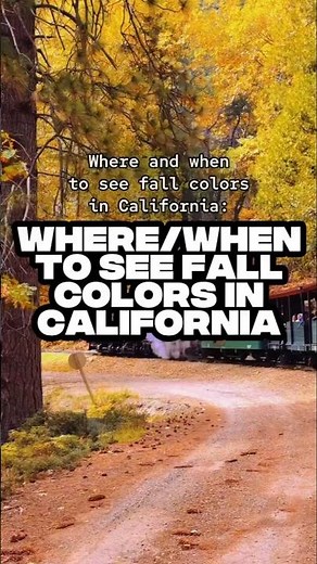 Chase Fall Foliage in California 🍂 Top Spots & Best Time to Visit in 2025 #CaliforniaFallColors